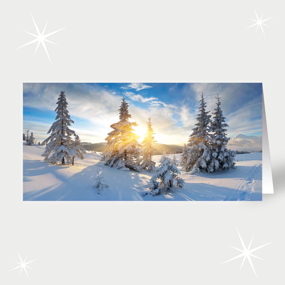 Schneebedeckte Tannen