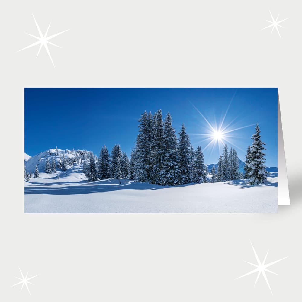 Sonniger Wintertag