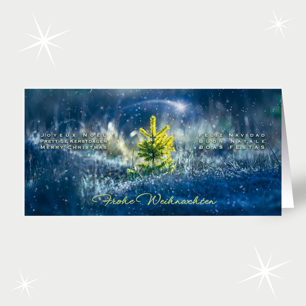 Zarter Weihnachtsbaum