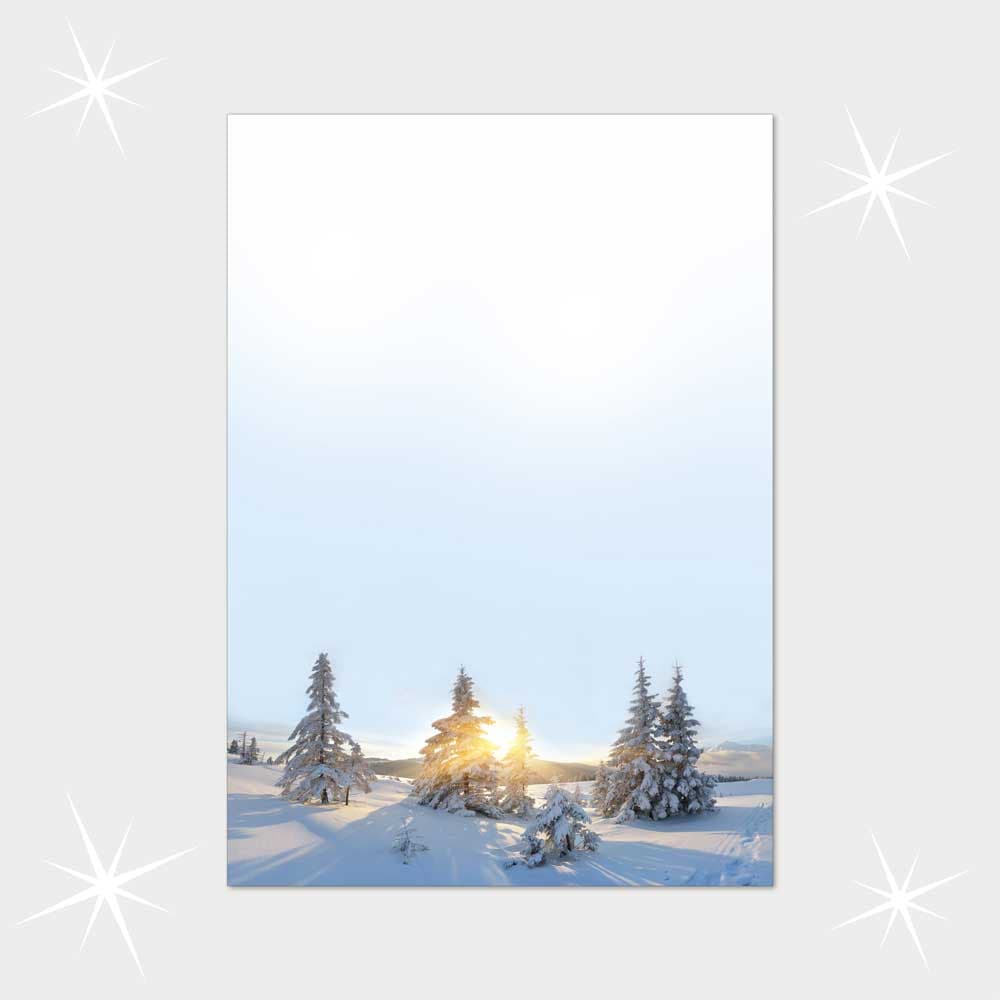 Sonnenlicht zwischen Wintertannen