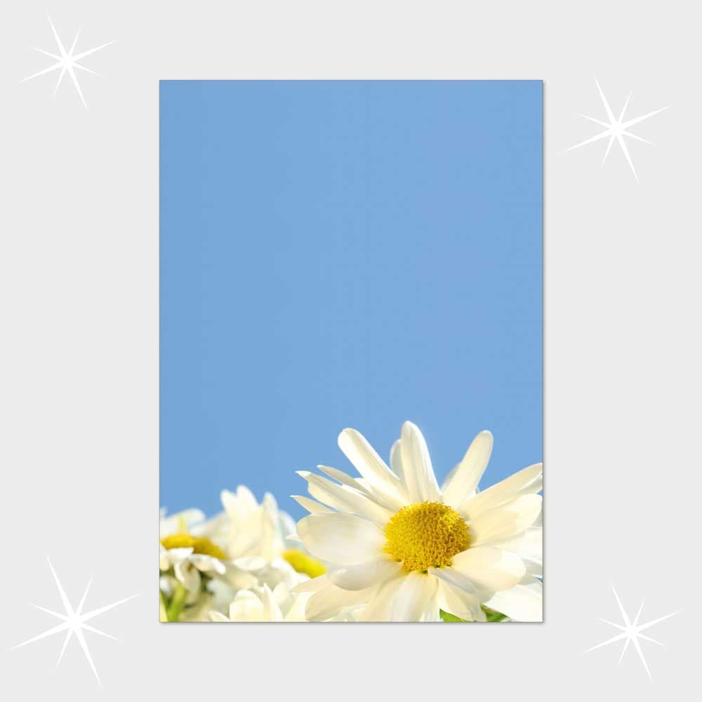 Margeriten im Sommerhimmel